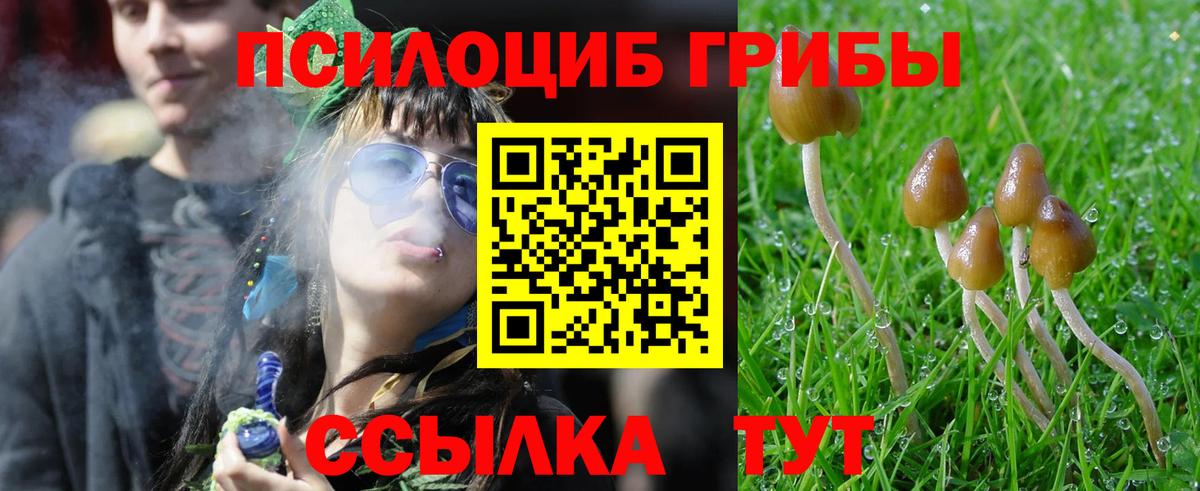 Галлюциногенные грибы GOLDEN TEACHER  Вход с VPN  Псилоцибиновые грибы Magic Shrooms  Кондопога 