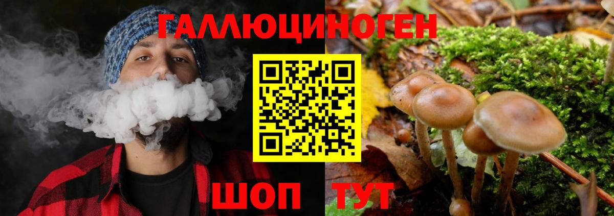 Галлюциногенные грибы GOLDEN TEACHER Кондопога